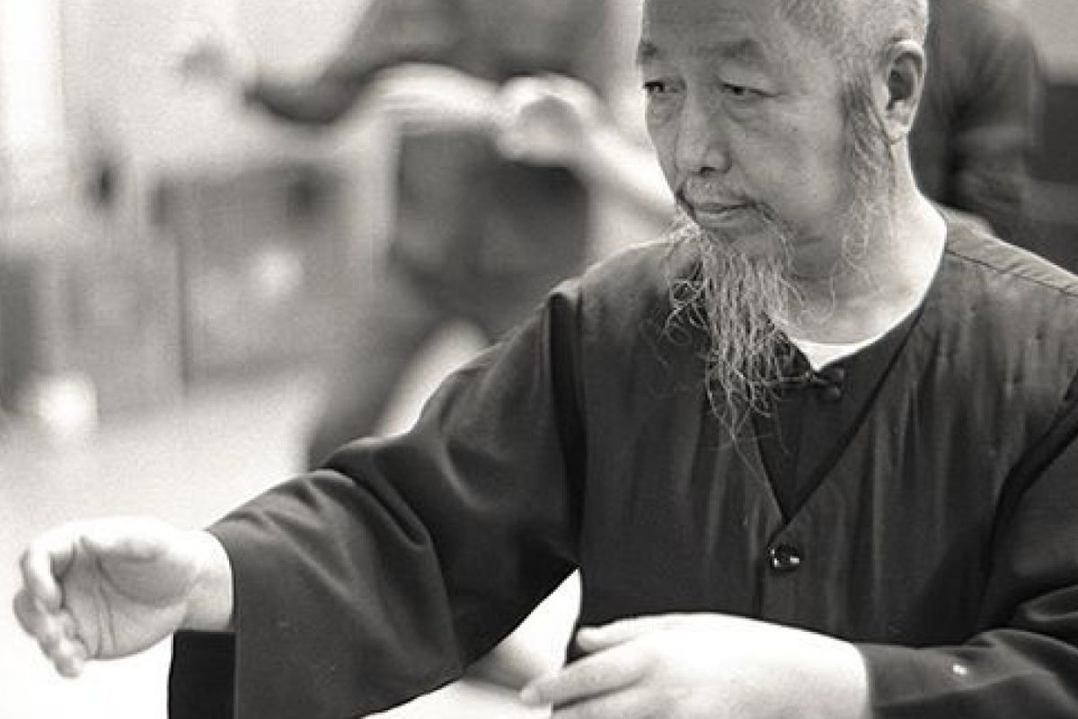 5 mouvements Professeur Cheng Man Ching enseignant le tai chi