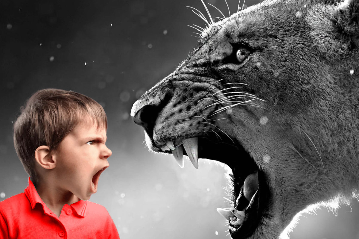 young boy and tiger angry