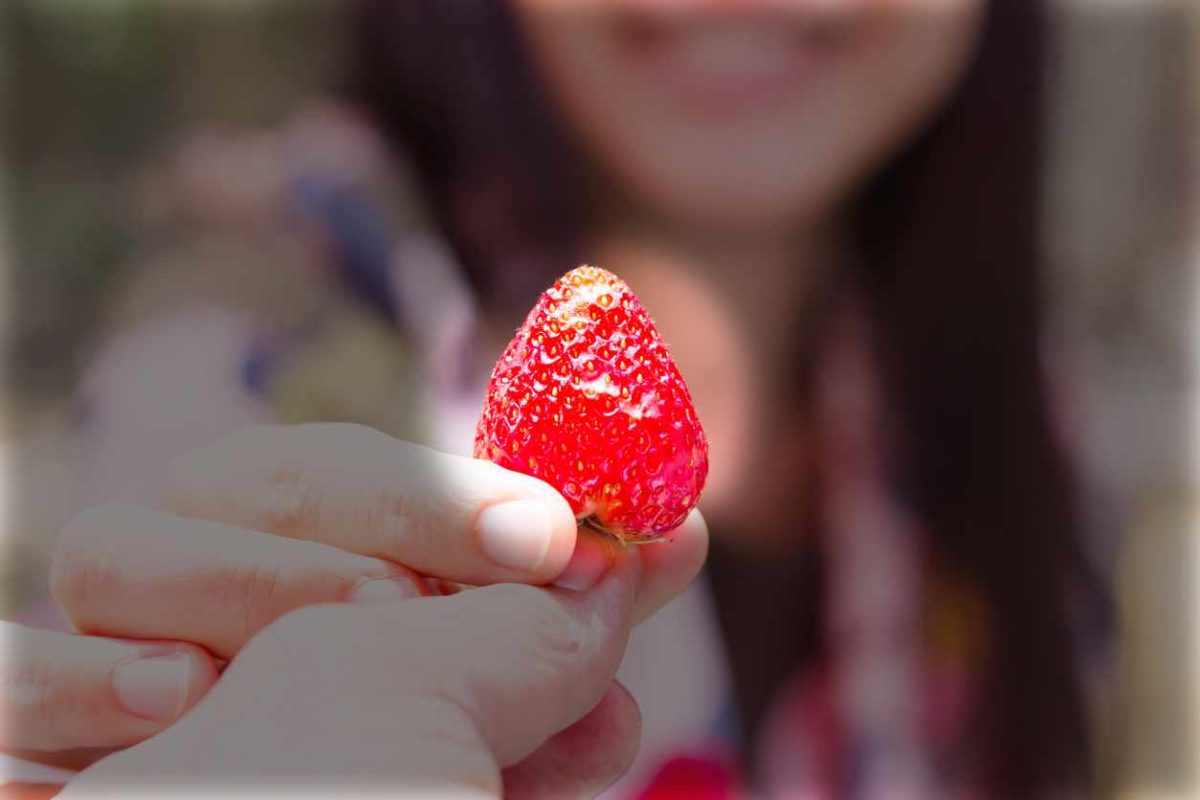 A strawberry as heart in a hand