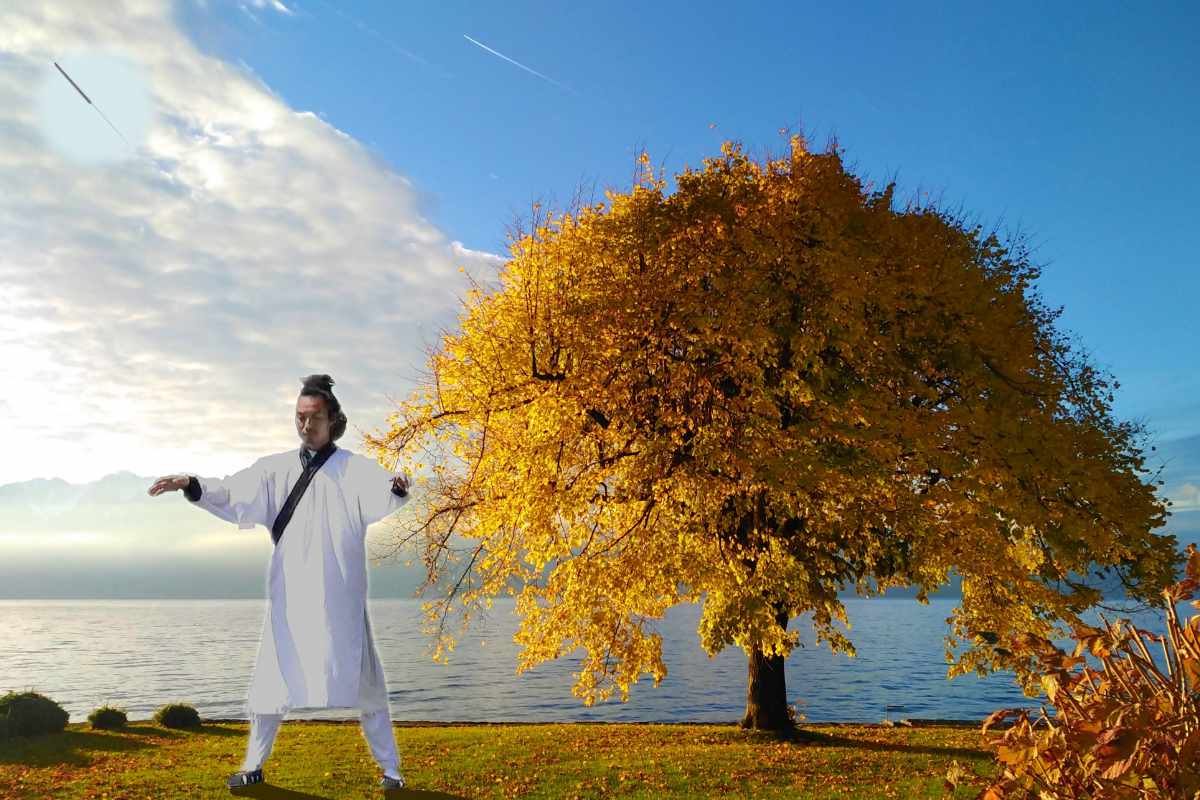 Chinese practising Wuji and a yellow tree