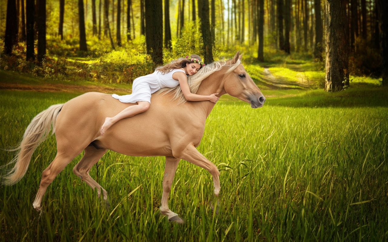 5 mouvements Spiritualité en médecine traditionnelle chinoise